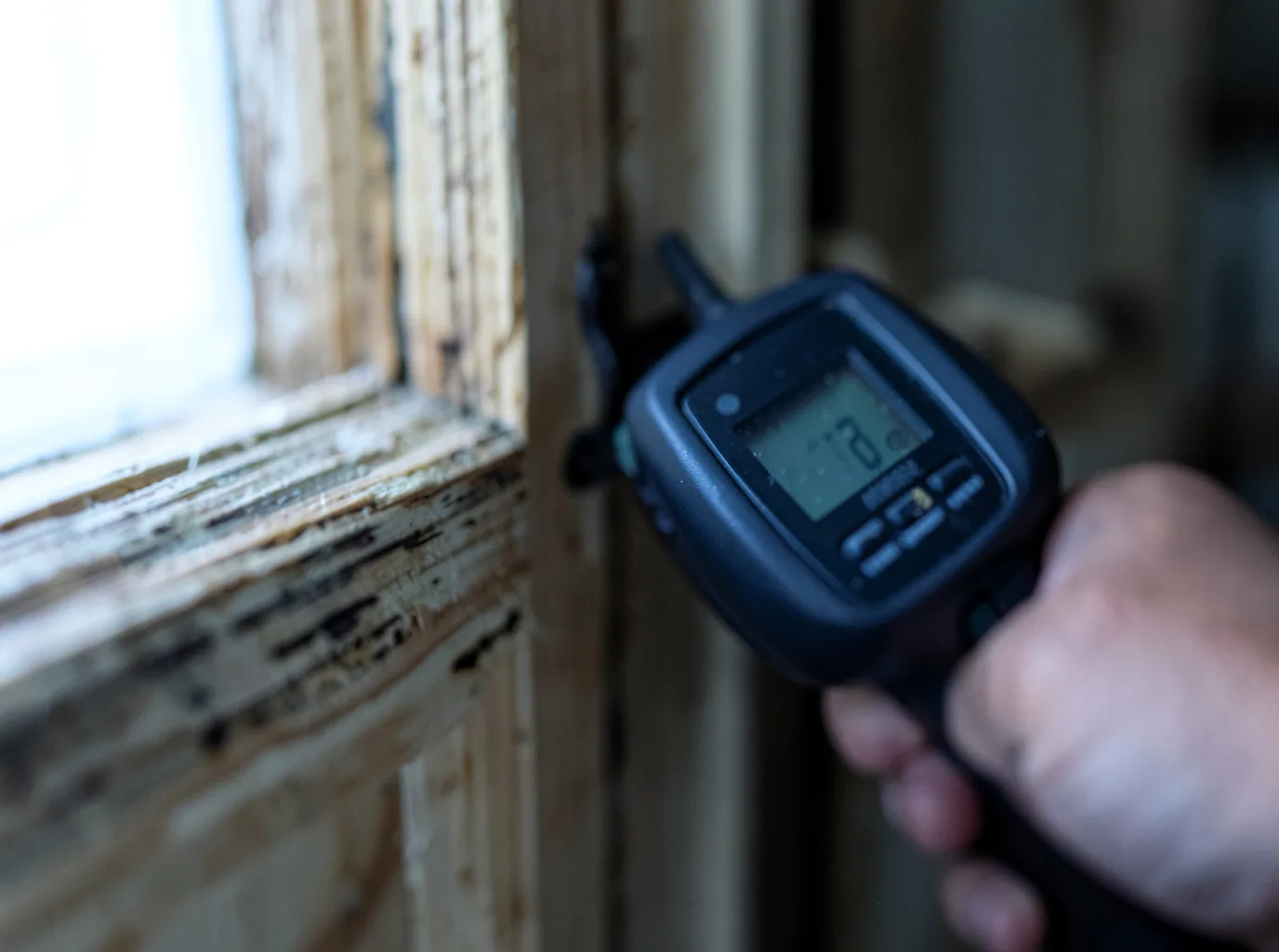 Moisture Inspection And Documentation in Leavenworth, KS